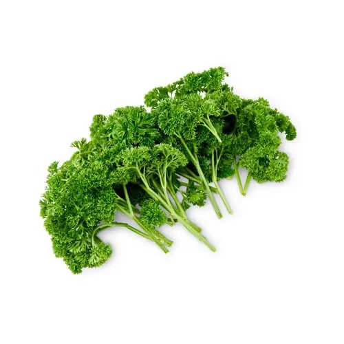 Parsley English 1Kg Netherlands